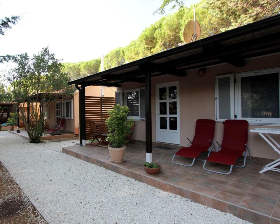 Bungalow Comfort 100 M From The Beach Premantura Exterior foto